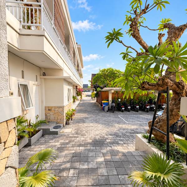 Planted walkway between the buildings